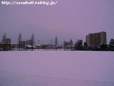 e0145805_8164387.jpg