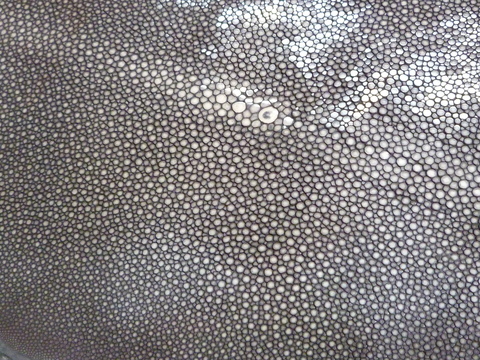d0174707_11231328.jpg