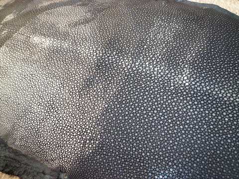 d0174707_11234389.jpg