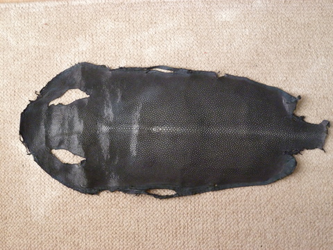 d0174707_11241197.jpg