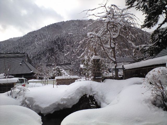 月鍋(比良山荘)食べて!豆餅(出町ふたば)土産に!Bar El tesoroでモヒート!_a0194908_12313621.jpg