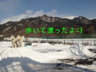 d0148408_15193892.jpg