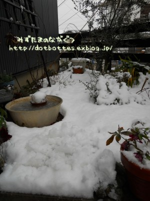 雪の前の・・・_d0170109_2374375.jpg