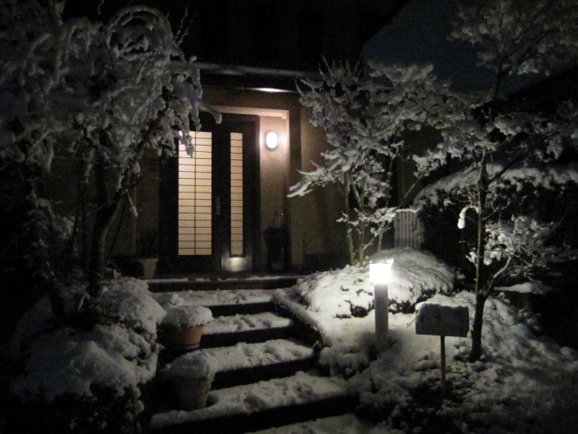 大雪から一夜明けて_d0081210_8294228.jpg