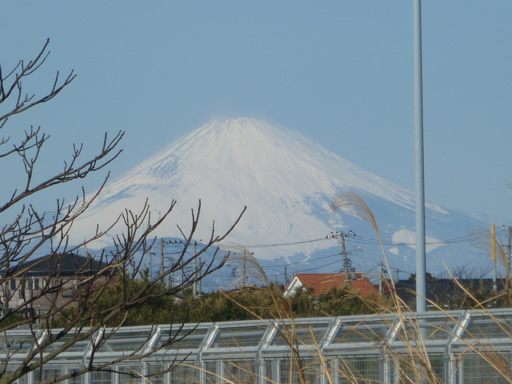 a0161111_19513322.jpg