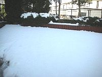 c0141011_9193320.jpg