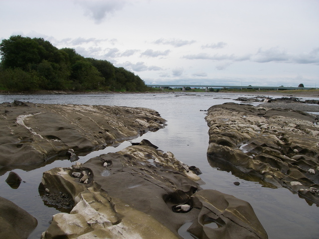 d0202215_73361.jpg