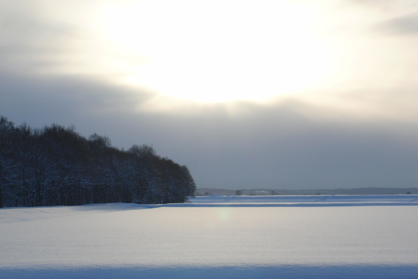 c0046416_65091.jpg