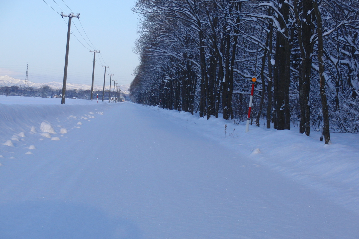 c0046416_65176.jpg