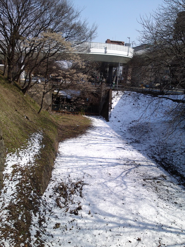 d0022918_19182564.jpg