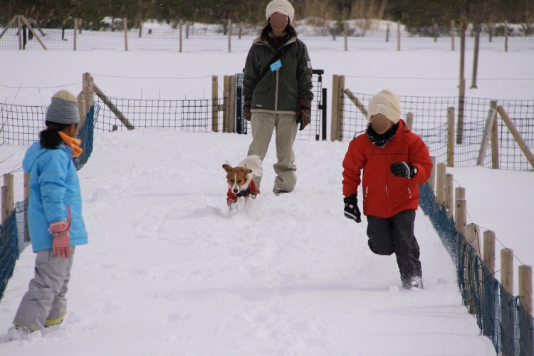 犬といっしょにレジーナの森へ行こう♪_a0117719_14221695.jpg