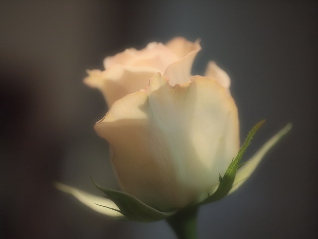 e0222120_1515360.jpg