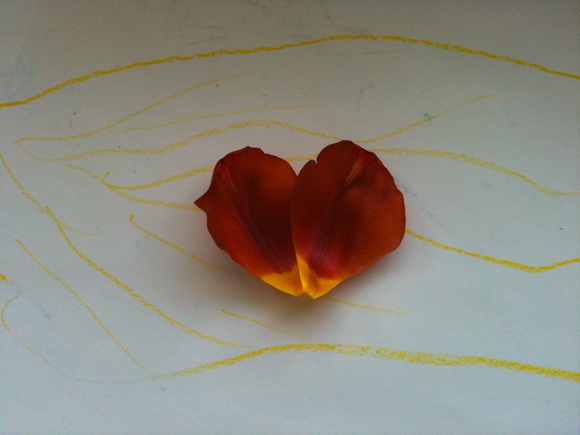 ♥_b0193324_23504554.jpg