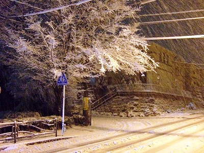 雪は降る~♪_d0113725_0131345.jpg