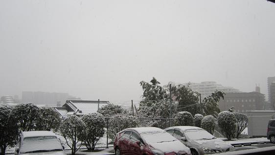 f0177125_0441388.jpg