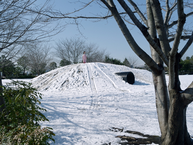 溶けない雪はない_b0191026_15164956.jpg