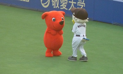 マーくん、犬のしつけに勤しむ_b0166128_20385152.jpg