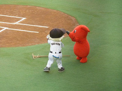 マーくん、犬のしつけに勤しむ_b0166128_2164057.jpg