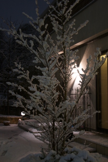 e0021328_1225593.jpg