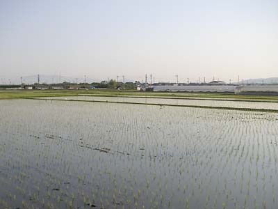f0097528_21135526.jpg