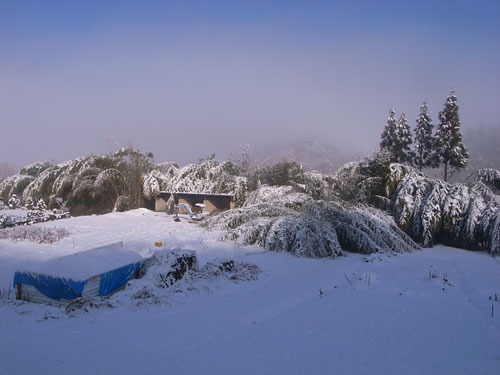 雪景色とお好み焼き_b0036636_1240124.jpg