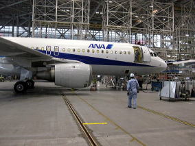 e0211937_1424825.jpg