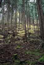 e0211937_1651569.jpg