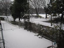 a0139242_22462861.jpg