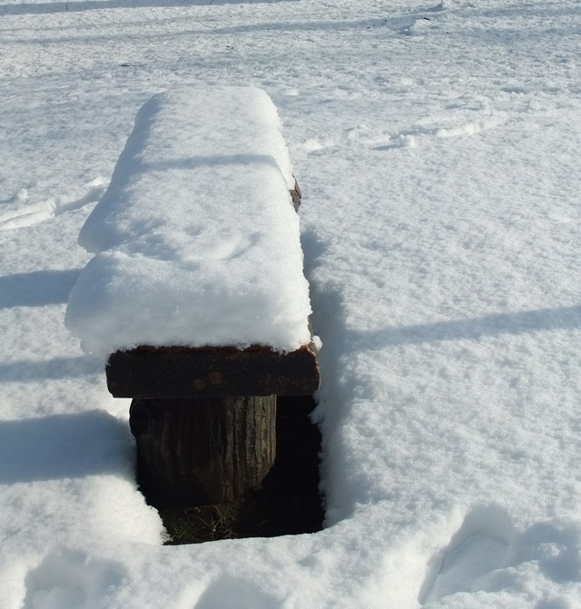 e0206242_85656.jpg