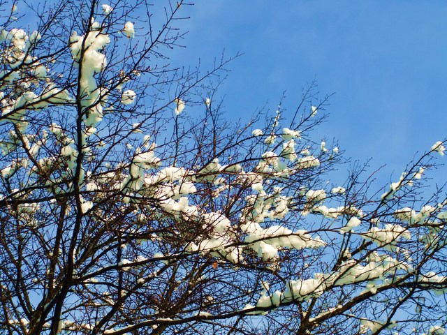 e0206242_92261.jpg