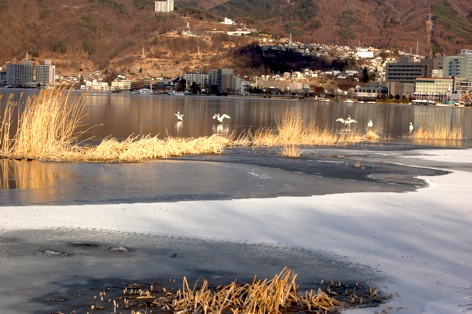c0002943_1234043.jpg