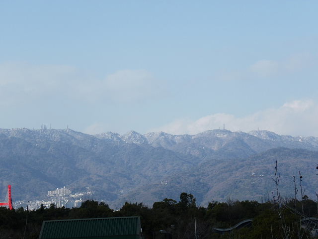 六甲山に残雪、梅林はオジョウサマのお気に入り??_c0051143_23564518.jpg