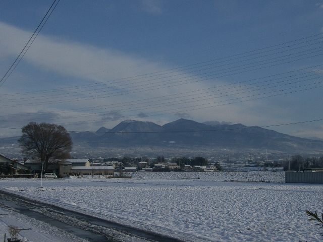 いい運動?_a0155844_10463857.jpg