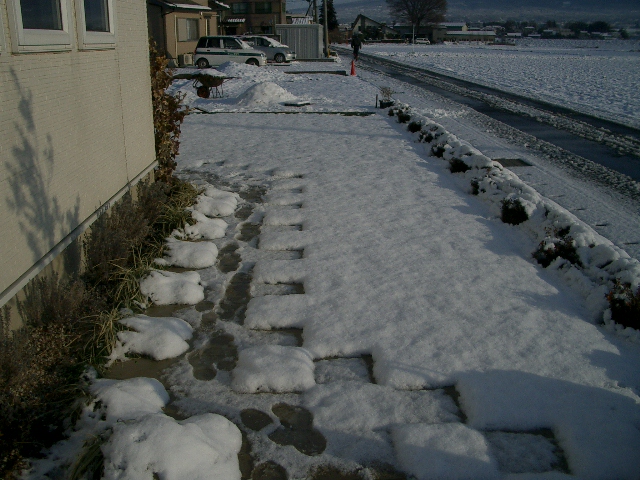 いい運動?_a0155844_10465657.jpg