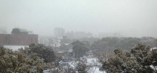 2/14 バレンタインの雪_e0213444_042297.jpg