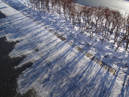 c0214145_2246499.jpg