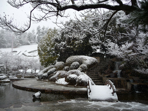 【2月14日(月)】雪…。_c0221349_1591227.jpg