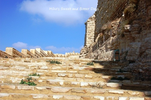 ヨルダン・シリア旅行記⑤～The Road to Petra～_c0149755_17433290.jpg