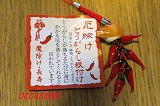 e0158355_8151147.jpg