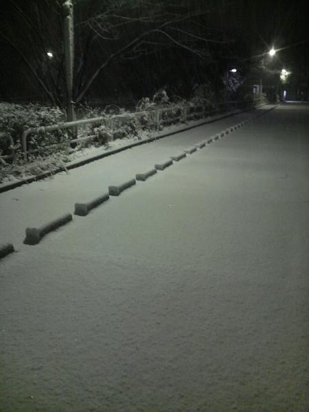 雪だ～♪雪だ～♪雪だ～♪　　　　　2月14日_f0050955_0484993.jpg