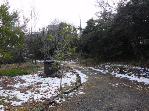 H23年2月度運営委員会_c0108460_15443219.jpg