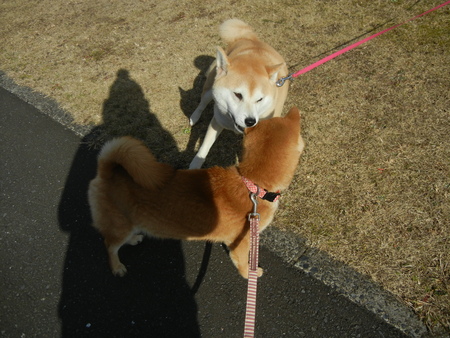 2月15日(火)遼くんの腹水がまた・・・_f0060461_21303131.jpg