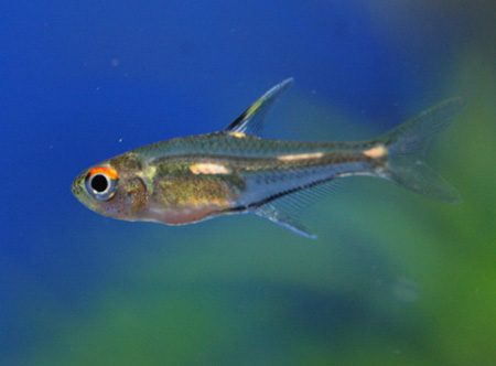 a0162263_1845359.jpg