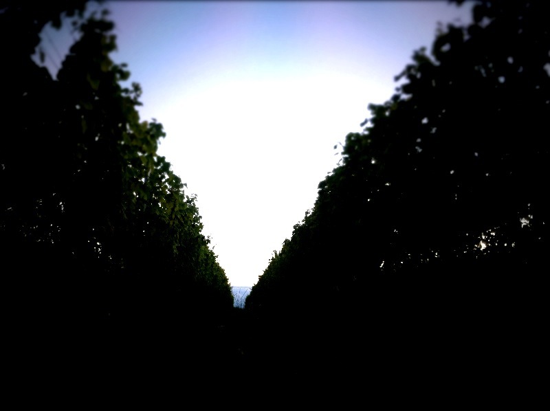 c0016363_2252712.jpg