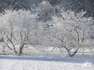 e0170863_2313471.jpg