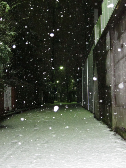 雪景撮影　スローシンクロ/HDR_c0166765_21325133.jpg