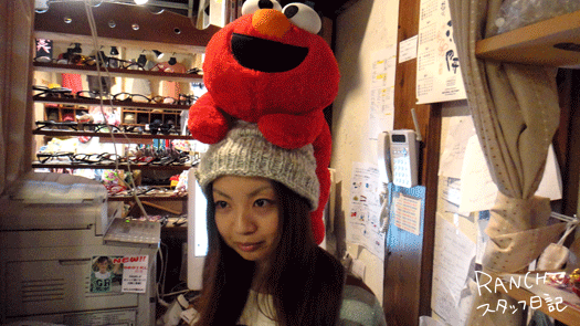 d0181266_20444610.gif