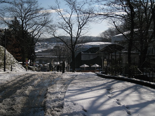 a0188771_23284260.jpg