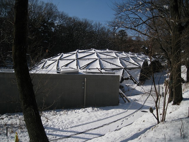 a0188771_2331276.jpg