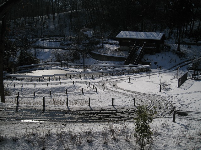 a0188771_2331575.jpg